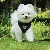 Dog Cat Pet Harness No-Pull Adjustable Outdoor Pet Vest Lead Leash