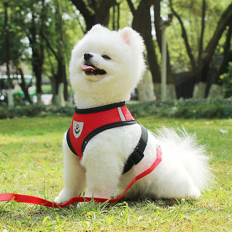 Dog Cat Pet Harness No-Pull Adjustable Outdoor Pet Vest Lead Leash