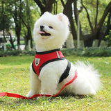 Dog Cat Pet Harness No-Pull Adjustable Outdoor Pet Vest Lead Leash