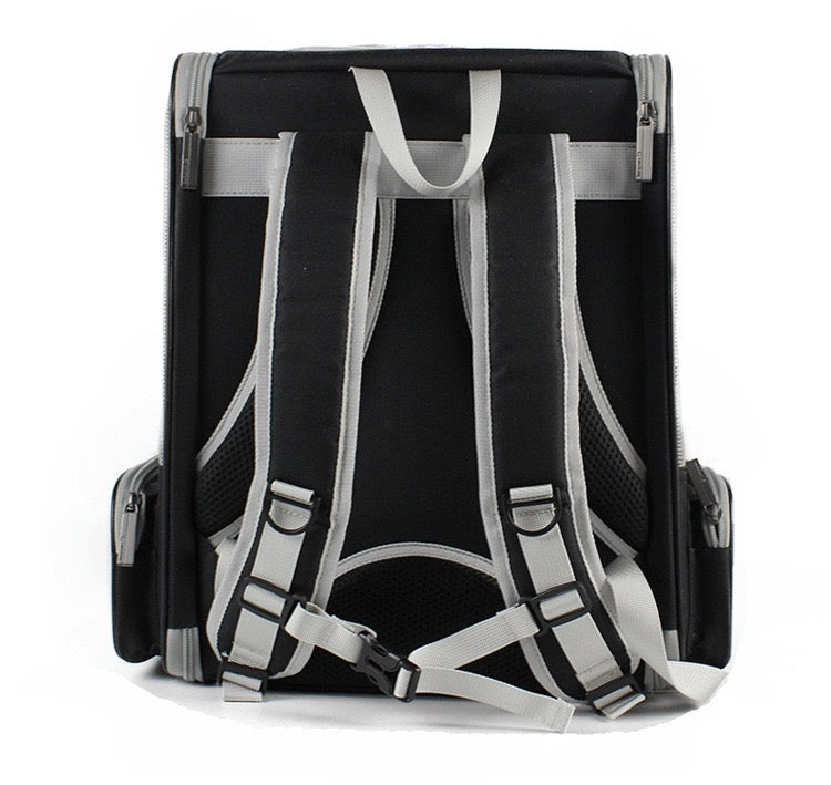 Breathable mesh pet backpack, airline approved