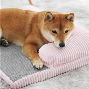 Summer Rattan Pet Mat Detachable Washable Cooling Dog Bed