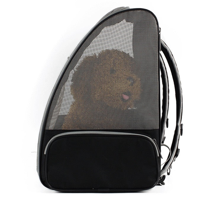 Breathable mesh pet backpack, airline approved