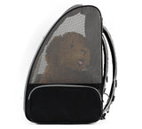 Breathable mesh pet backpack, airline approved