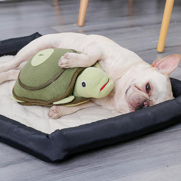 Nuopets Cute Squeaky Dog Chew Toys Pet Training Toy