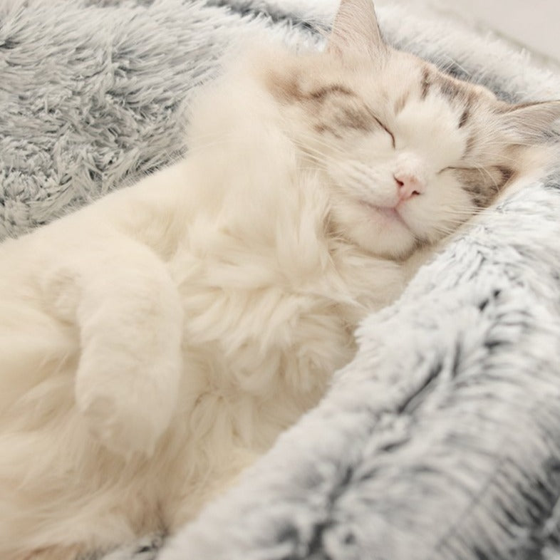 Nuopets Cat Bed Plush Warm Round Pet Bed