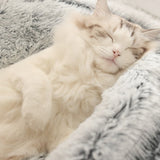 Nuopets Cat Bed Plush Warm Round Pet Bed