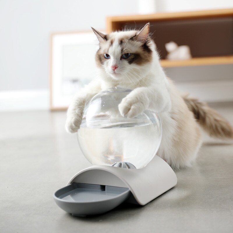 2.8L Fountain Bubble Automatic Cat Water Feeder Drinking Bowl For Pets Water Dispenser