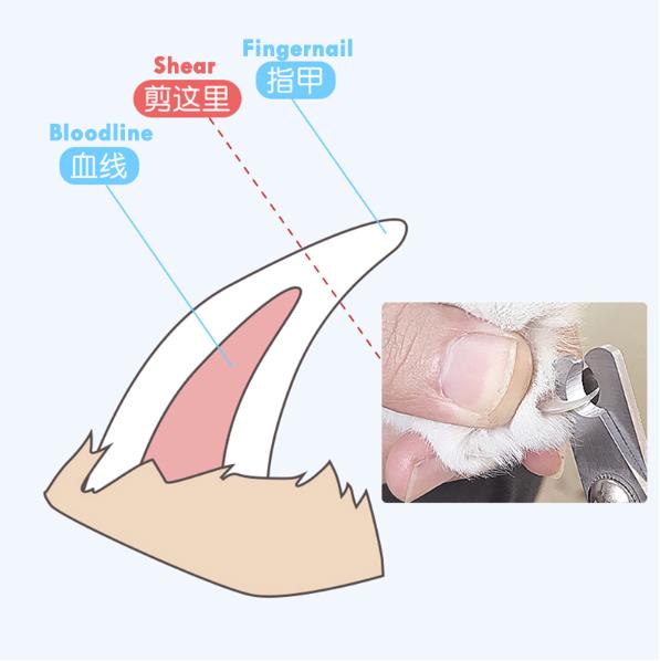 Professional Pet Cat Dog Nail Clipper Cutter Stainless Steel Grooming Clippers Grinders Cats Dog Claw Nail Scissors with Lock
