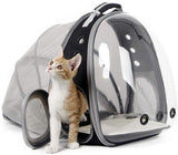 Back expandable cat backpack space capsule transparent pet carrier