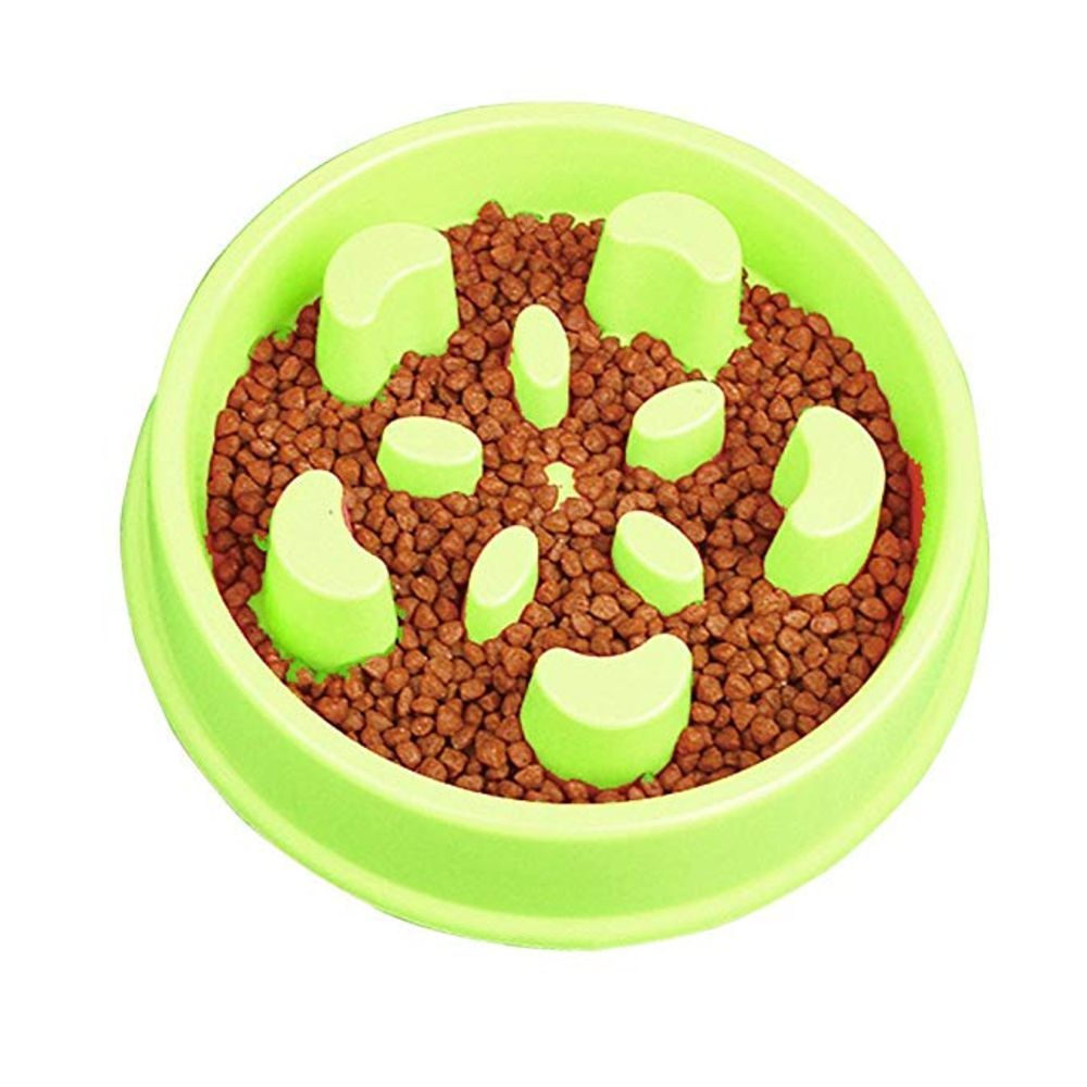 Fun Slow Feeder Stop Bloat Dog Bowl - NuoPets