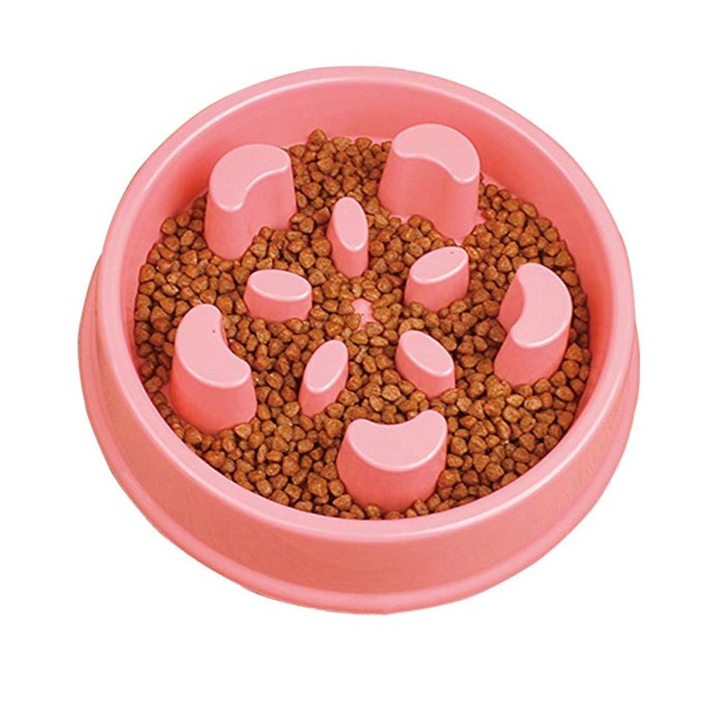 Fun Slow Feeder Stop Bloat Dog Bowl - NuoPets