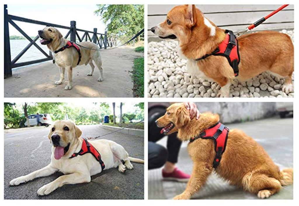 Dog Harness No-Pull Adjustable Outdoor Reflective Pet Vest Easy Control for Small Medium Large Dogs - NuoPets