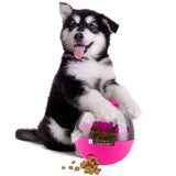 IQ Treat Ball Toy For Dogs & Pets That Dispenses Food Interactively - NuoPets