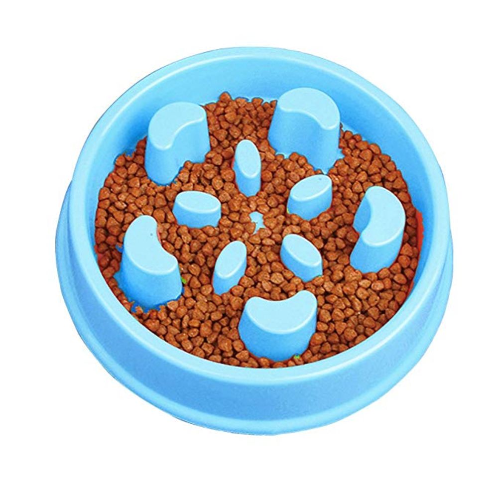 Fun Slow Feeder Stop Bloat Dog Bowl - NuoPets
