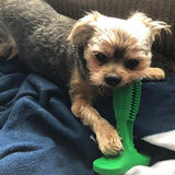 Effective Dog Toothbrush Stick Toy of Natural Rubber for Dental Care, Cleaning & Massaging - NuoPets