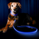 Safety LED Light Up Dog Leash With 3 Flashing Modes, Reflective & USB Rechargeable