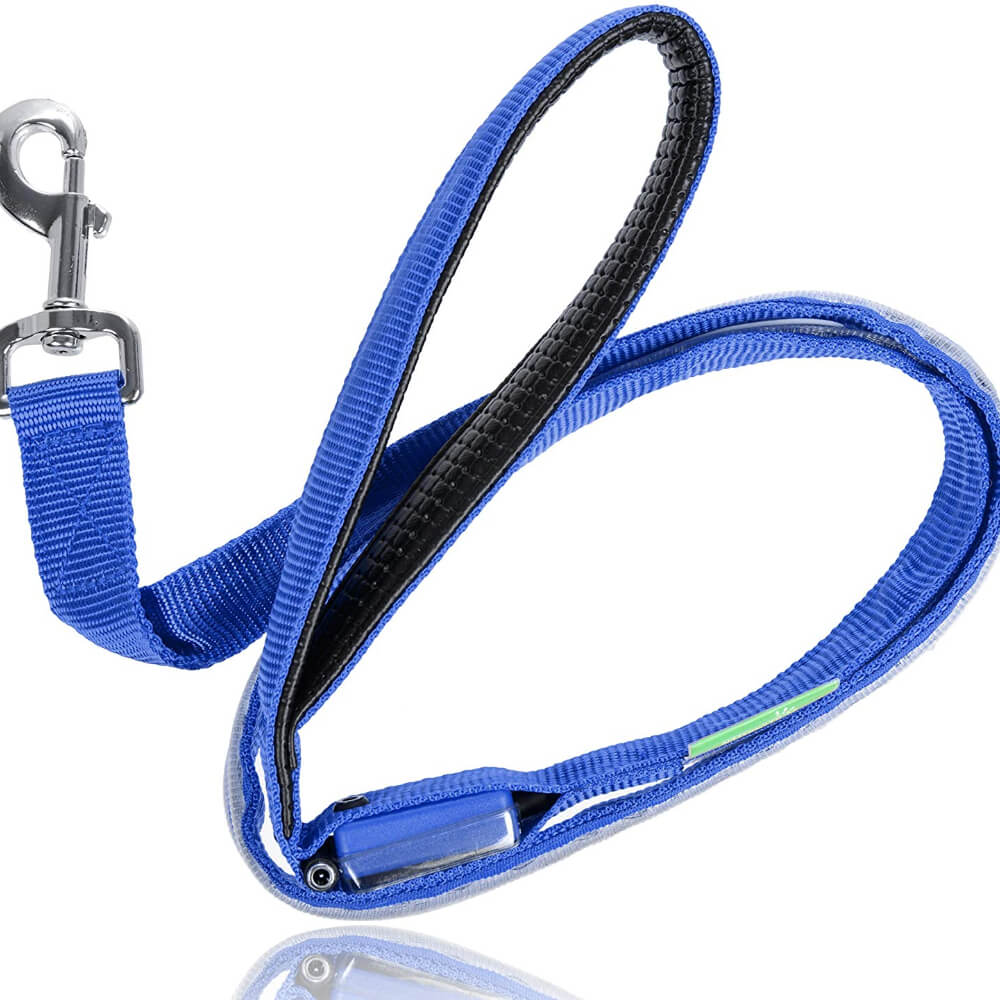 Safety LED Light Up Dog Leash With 3 Flashing Modes, Reflective & USB Rechargeable