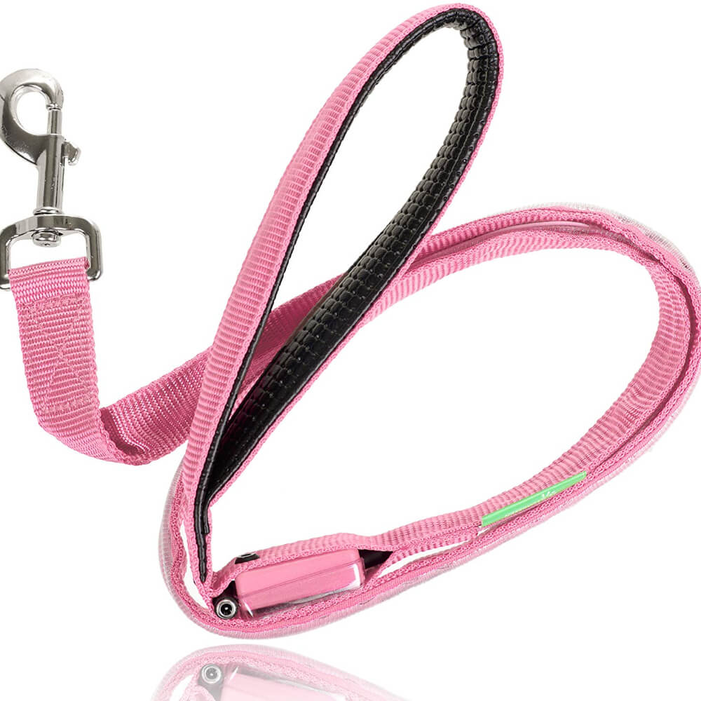 Safety LED Light Up Dog Leash With 3 Flashing Modes, Reflective & USB Rechargeable