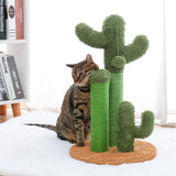 Cactus cat scratcher post featuring cat tree