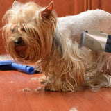 Nuopets Pet Hair Clippers & Trimmers
