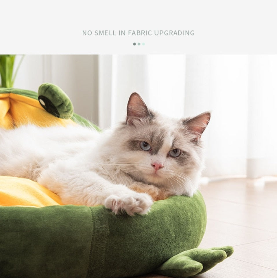 Pet Cat Dog Bed House for Cats Indoor Warm Frog Small Dog Sleep Mat