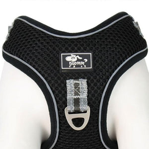 Dog leash pet chest strap dog traction rope