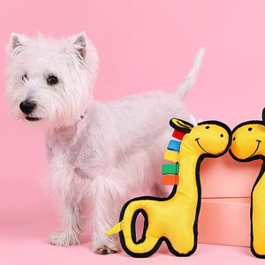 Dog vocal toy pet boredom artifact