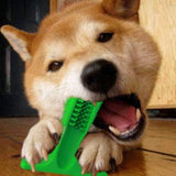 Effective Dog Toothbrush Stick Toy of Natural Rubber for Dental Care, Cleaning & Massaging - NuoPets