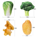 Nuopets Pet Toys Bite Resistant Squeaky Dog Toys