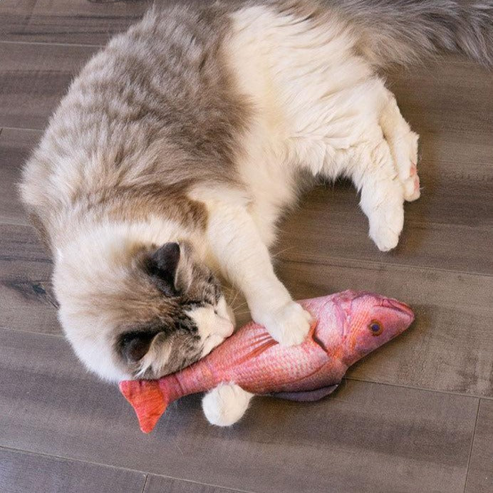 Nuopets Floppy fish cat toys Rechargeable Electric pet toy
