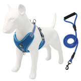 Dog leash pet chest strap dog traction rope