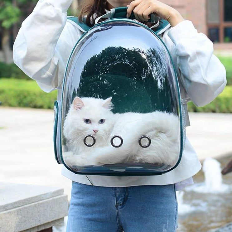 Portable Pet Carrier Backpack With Space Capsule Bubble【US Warehouse Delivery】