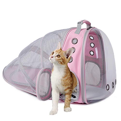 Back expandable cat backpack space capsule transparent pet carrier