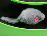 An Interactive Cat Toy with A Running Mouse and Scratching Pad - NuoPets