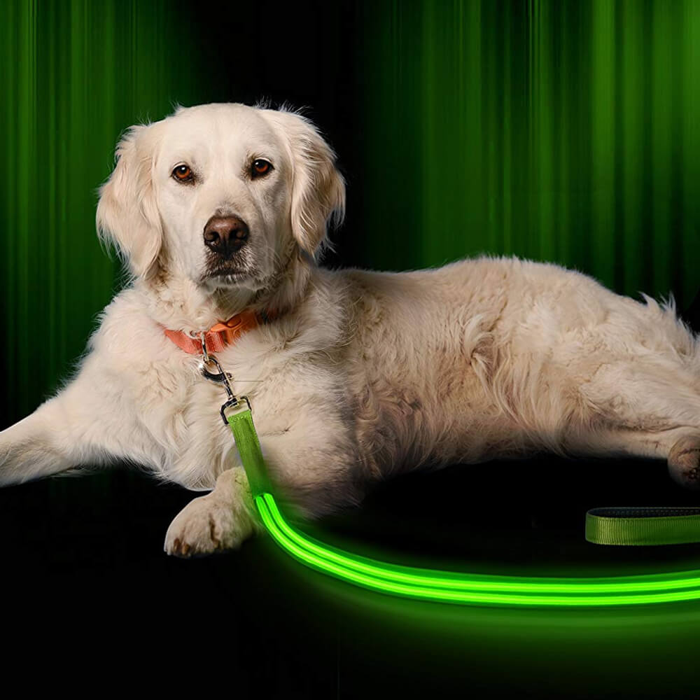 Safety LED Light Up Dog Leash With 3 Flashing Modes, Reflective & USB Rechargeable