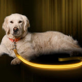 Safety LED Light Up Dog Leash With 3 Flashing Modes, Reflective & USB Rechargeable