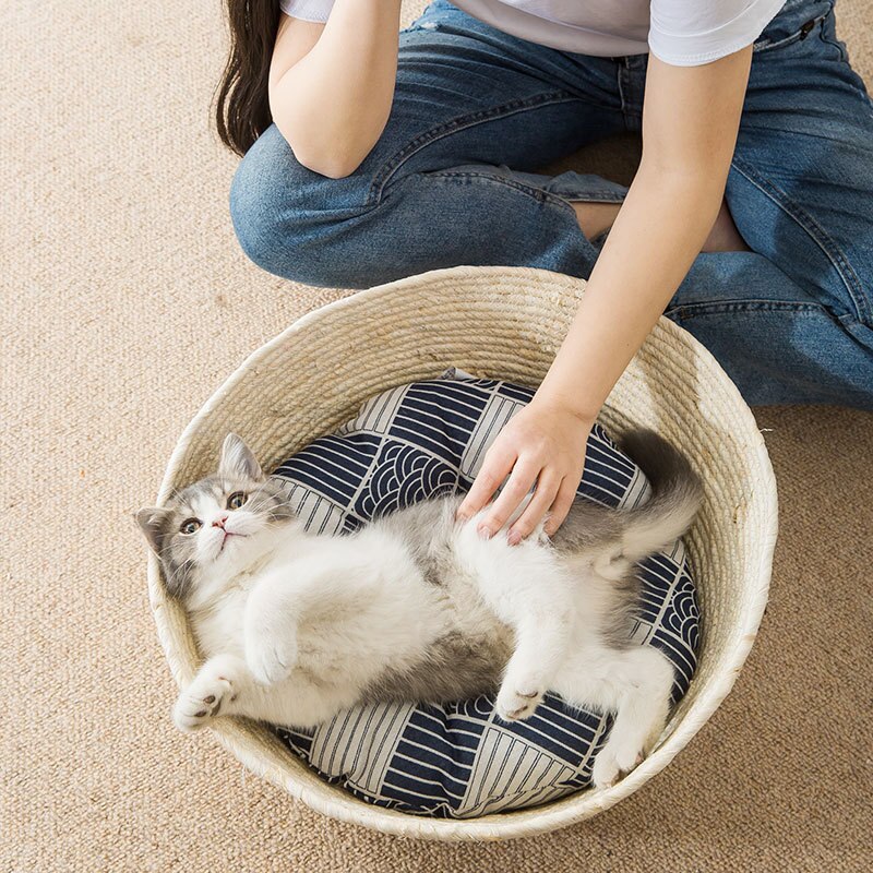Cat Bed Rattan Four-season Universal Cat Bed Woven Cat Bed