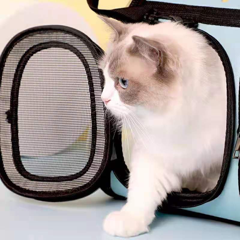Pet Carrier Transparent Travel Bag