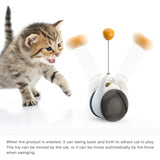 Tumbler Swing Toys for Cats Kitten Interactive Balance Car Cat Chasing Toy With Catnip
