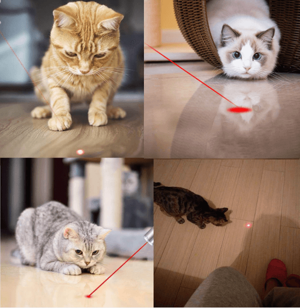 Rechargeable Cat Laser Pointer 3 in 1 Cat Toy Red Laser Pointer