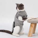 Cats Recover Suit Clothes after Sterilization